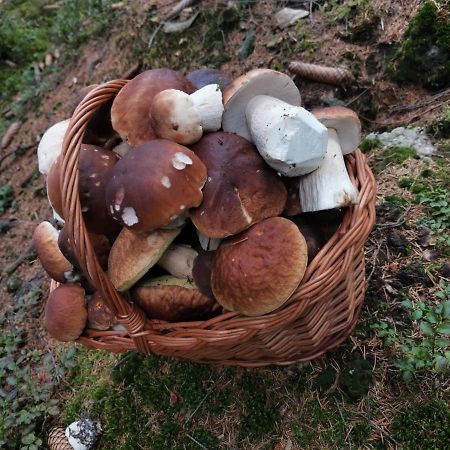 Hostinec U Pejska A Kocicky Mariánské Lázně Εξωτερικό φωτογραφία